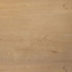 Douwes Dekker Plank Biscuit Klik