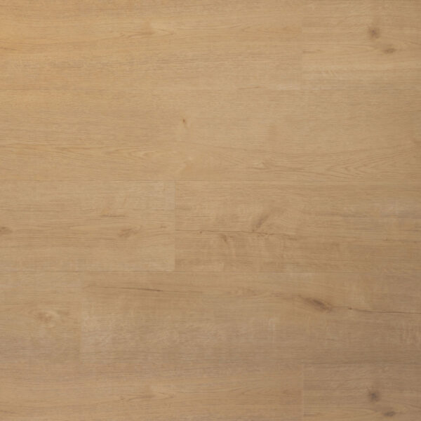 Douwes Dekker Plank Biscuit Klik